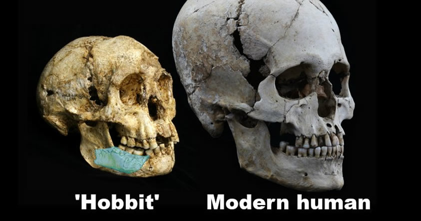 Resultado de imagen de restos de hobbits