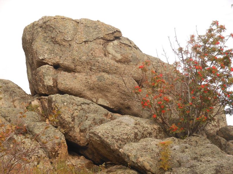 El «Dragón», el antiguo megalito descubierto cerca de las montañas de Altai de Rusia