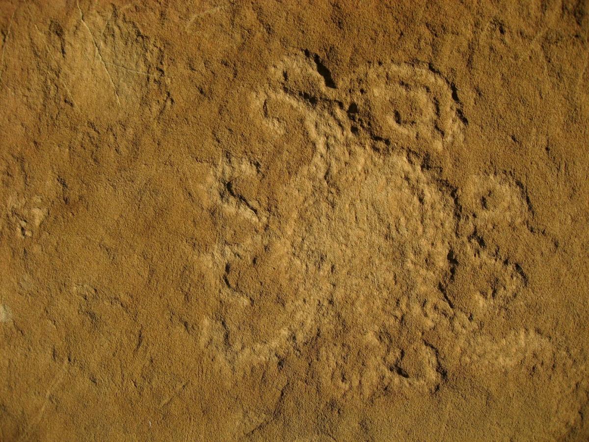 Petroglifo de Piedra del Sol 