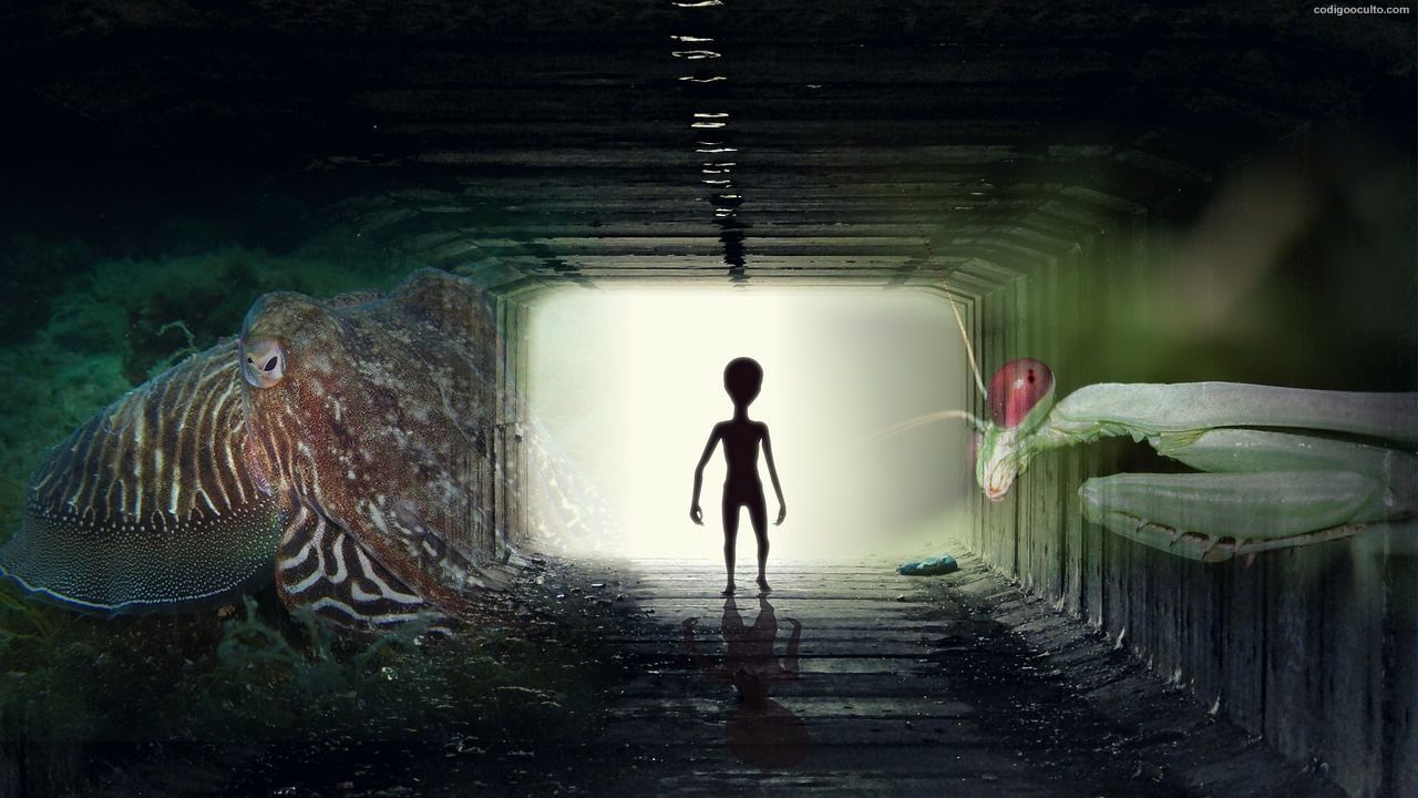 ¿Qué aspecto podrían tener los extraterrestres? Según destacados astrobiólogos
