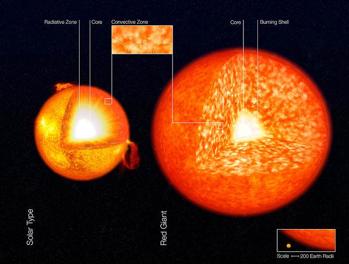 RepresentaciÃ³n artÃ­stica de la estructura del Sol y una gigante roja, mostrando sus zonas convectivas. Estas son las zonas granuladas en las capas exteriores de las estrellas. 
