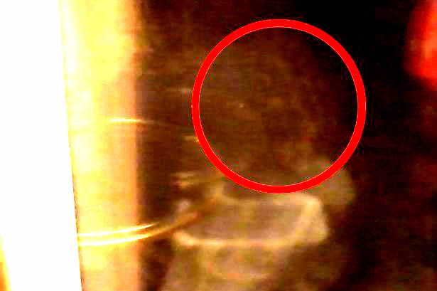 Hombre reporta a MUFON supuesta fotografía de extraterrestre gris espiando por su ventana