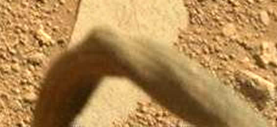 ¿Una pierna de algún ser vivo en Marte?