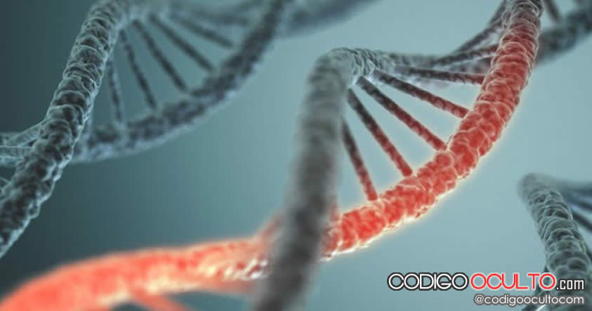 Científicos descubren 238 genes que podrían extender la vida humana