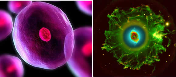 Comparación entre una Célula y una Nebulosa del Universo