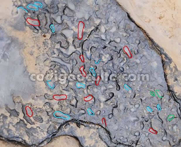 Huellas humanas de 800 mil años de antigüedad