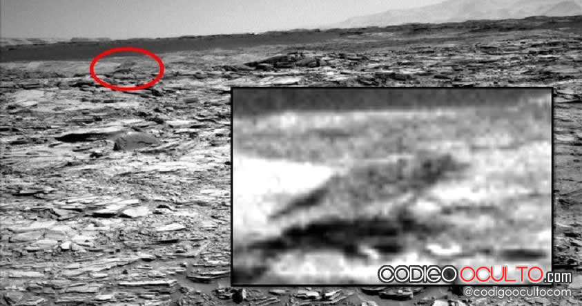 Vida en Marte o simple pareidolia: Imagen muestra algo similar a un lobo en Marte