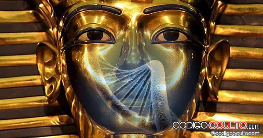 ¿Eres descendiente de Tutankamón? Estudio revela que países poseen más descendientes