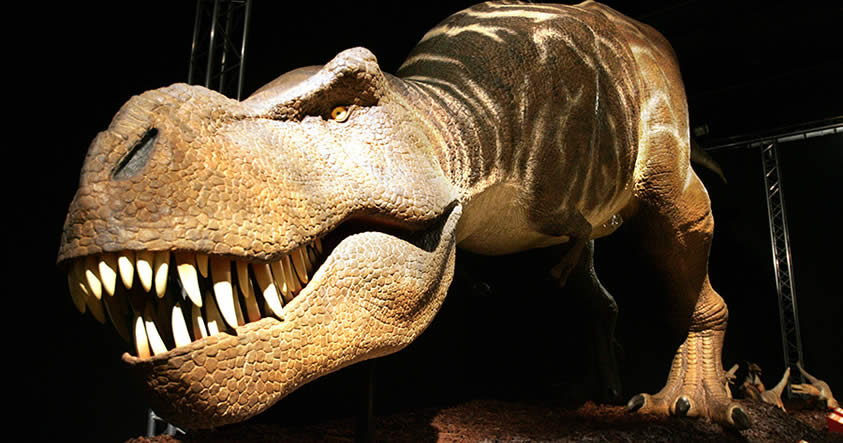 Los dinosaurios caminaban por la Tierra 10 millones de años antes de lo que se cree