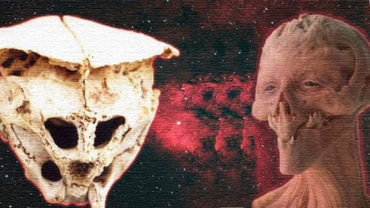 El Cráneo de Rhodope: ¿Una evidencia real de vida extraterrestre?