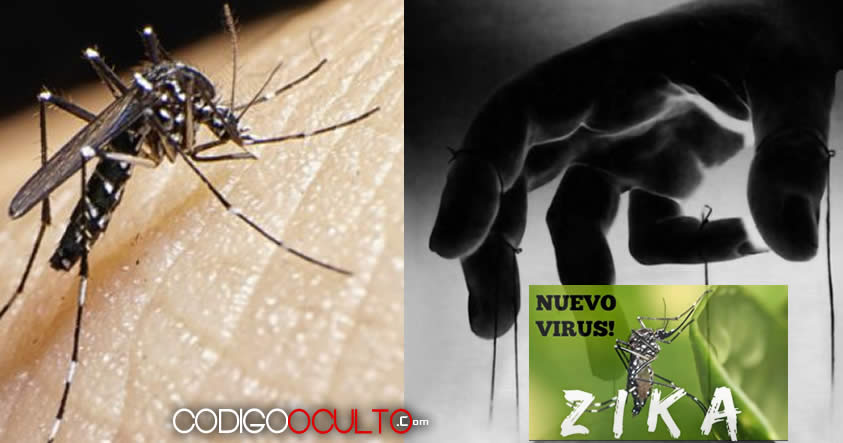 La conspiración del virus del Zika ¿El nuevo SIDA?