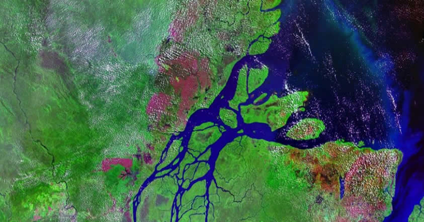 Científicos descubren un arrecife de coral de 1.000 Km. en desembocadura del río Amazonas