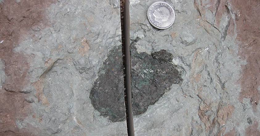 Descubren un nuevo tipo de meteorito que marcó un gran cambio en nuestro planeta