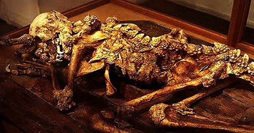 Fósil de antiguo «hombre dragón» expuesto por excéntrico coleccionista japonés Fósil de antiguo «hombre dragón» expuesto por excéntrico coleccionista japonés