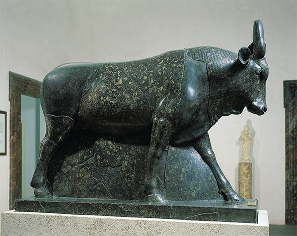 Toros Apis que se creían eran encarnaciones del Dios Ptah.