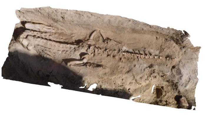 Reconstrucción 3D del cocodrilo encontrado en la necrópolis.