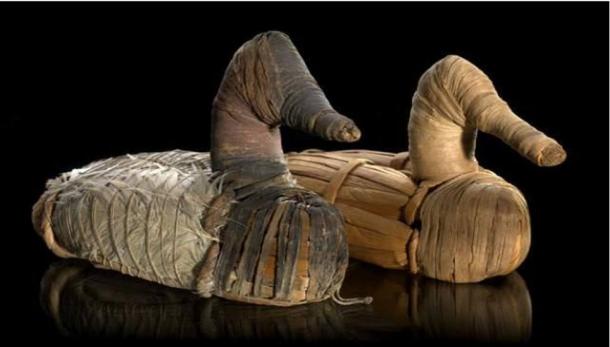 Fotografía de sendos señuelos de pato datados entre los años 400 a.C. - 100 d. C., expuestos en el Museo Nacional del Indio Americano del Smithsonian Institute.