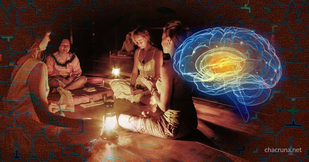 Ayahuasca y la Meditación podrían cambiar cambiar el cerebro de maneras similares