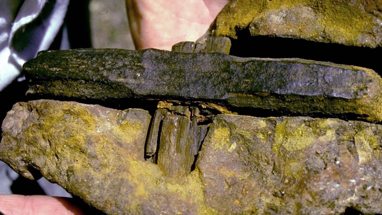 El misterio del martillo de 100 millones de años incrustado en una roca