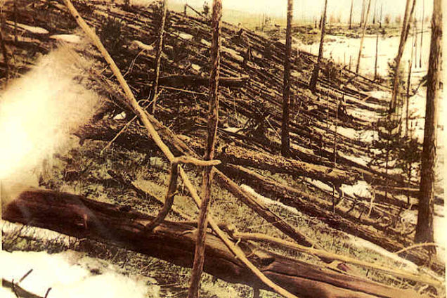 Fotografía sobre los campos de Tunguska, después del evento meteorítico.