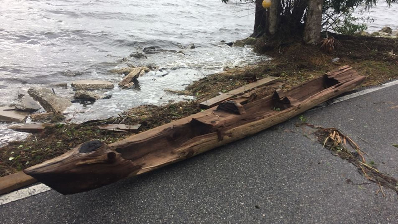 Huracán Irma deja al descubierto una canoa de varios siglos de antigüedad en Florida