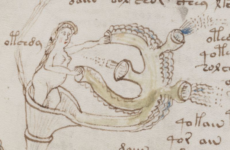 Muchas partes del manuscrito Voynich dicen que las mujeres deben tomar un buen baño si se sienten enfermas. Aquí se puede ver a una mujer haciendo eso.