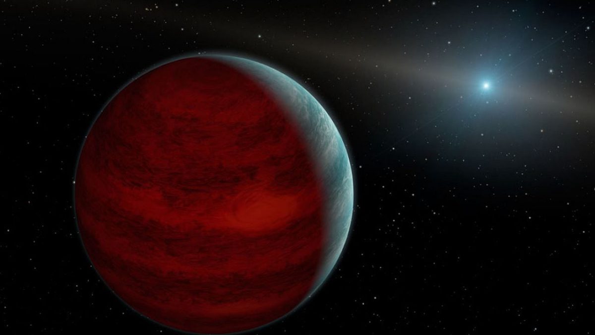 Descubren un extremadamente gigante en el bulbo de la Vía