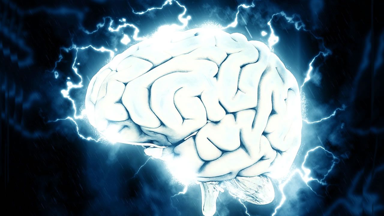 Investigación revela que el cerebro humano es capaz de «ver el futuro»