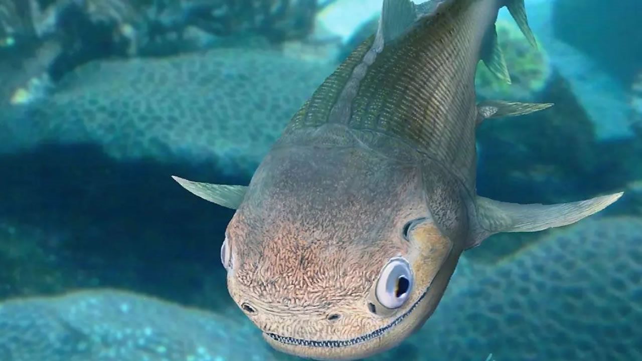 Hallan un pez de 400 millones de años, antepasado de dinosaurios y humanos
