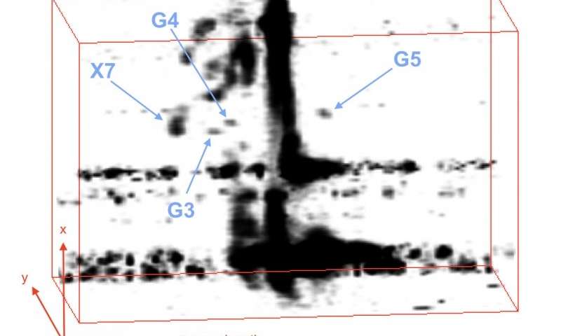 Este cubo de datos de espectrografía tridimensional se produjo utilizando un software llamado OsrsVol, abreviatura de OSIRIS-Volume Display. El responsable de operaciones científicas del Observatorio WM Keck Randy Campbell desarrolló esta herramienta de representación de volúmenes personalizada para separar G3, G4 y G5 de la emisión de fondo. Una vez que se realizó el análisis 3-D, el equipo pudo distinguir claramente los objetos G, lo que les permitió seguir su movimiento y ver cómo se comportan alrededor del agujero negro supermasivo.