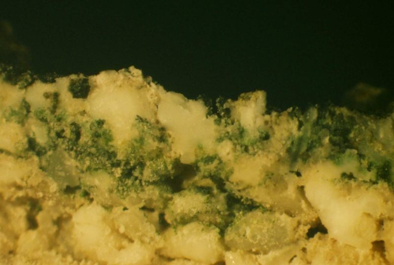 Sección transversal de una roca de la playa en Heron Island, Australia, que muestra clorofila-f que contiene cianobacterias (banda verde) que crece en la roca, varios milímetros por debajo de la superficie.