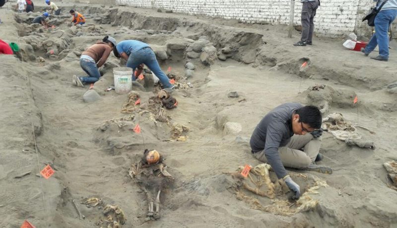Alrededor de los cuerpos se encontraron restos óseos de 30 llamas jóvenes de menos de un año de edad