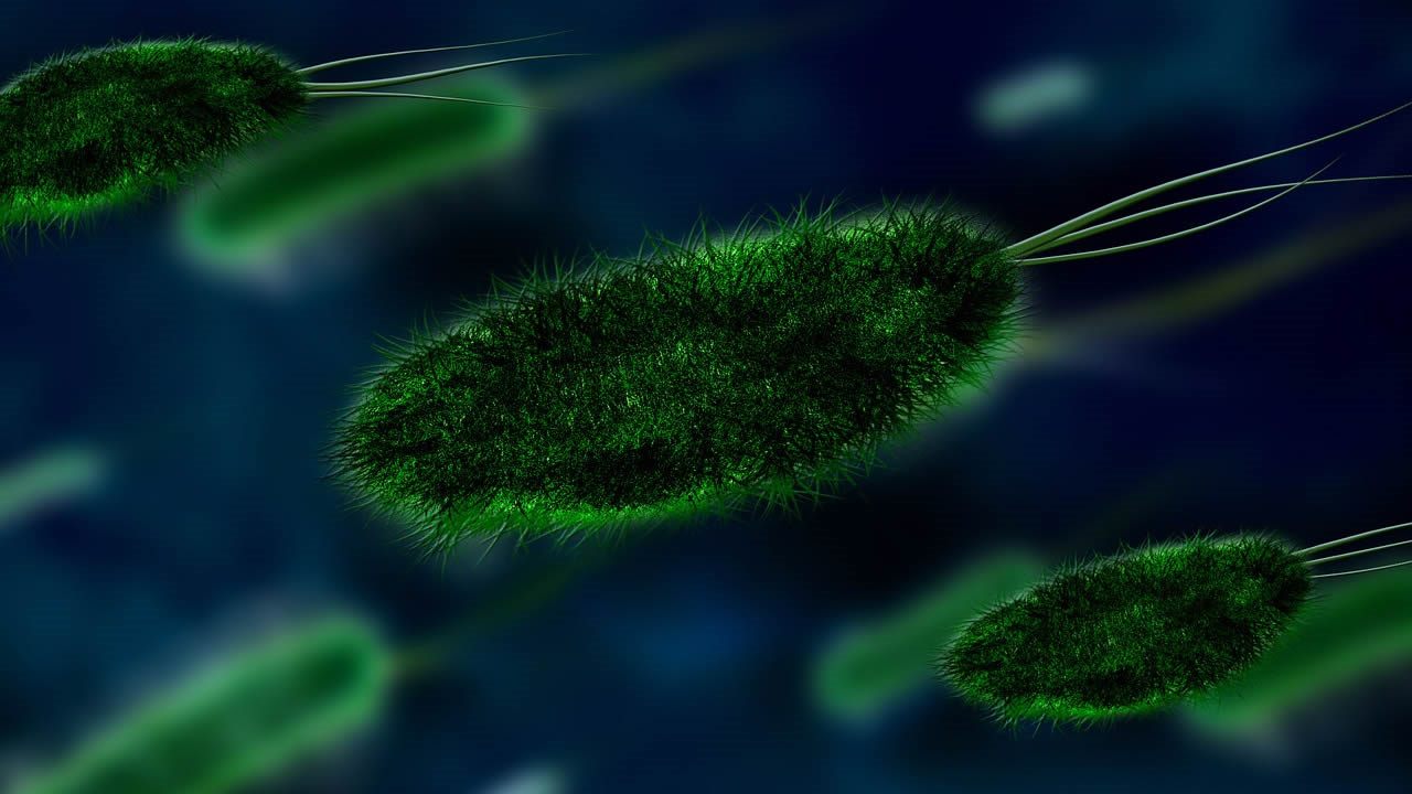 Bacterias mutantes «alienígenas» podrían ser mortales, dicen científicos rusos
