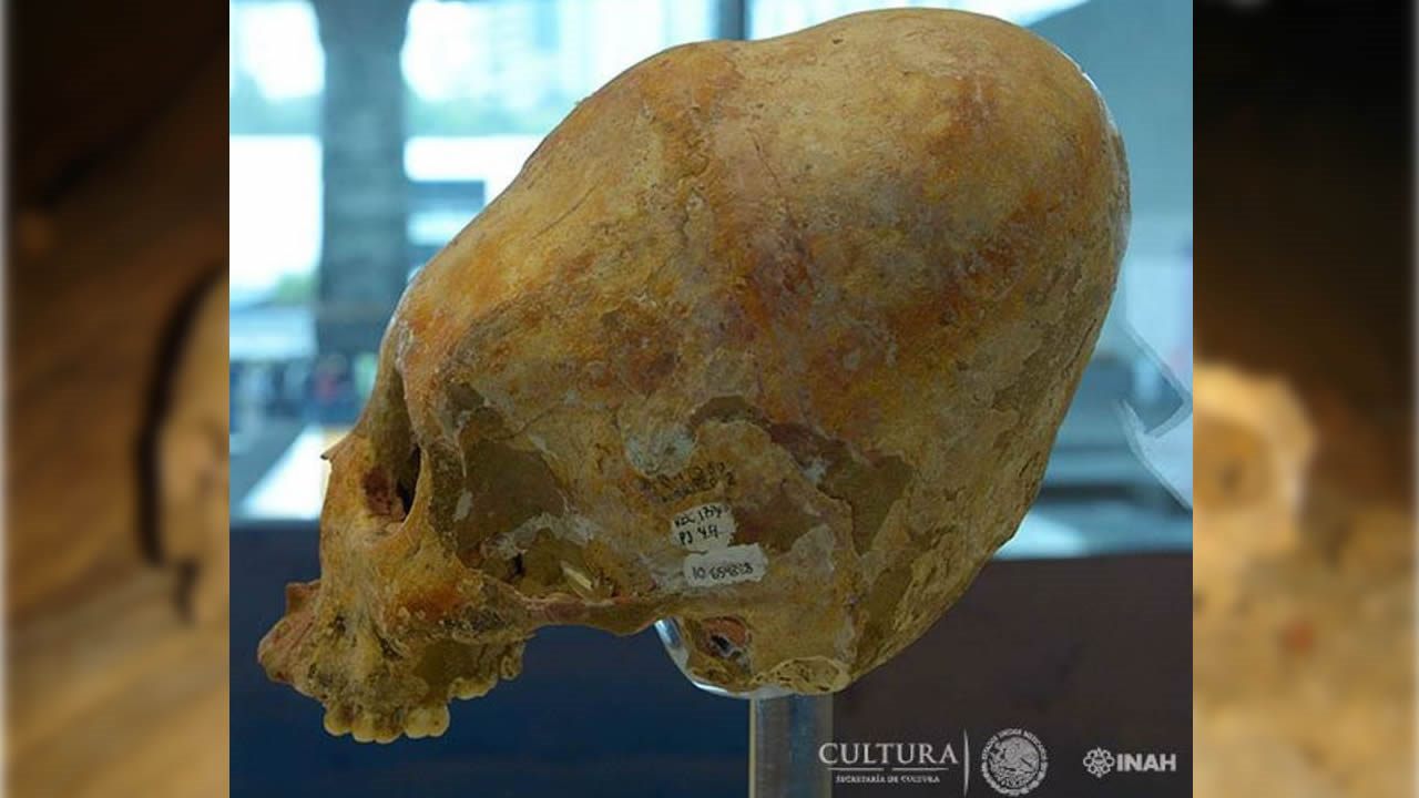 Antiguos esqueletos mayas de 7.000 años son hallados en cueva de México