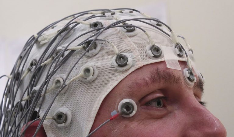 Científicos hallan túneles secretos entre el cráneo y el cerebro Científicos hallan túneles secretos entre el cráneo y el cerebro