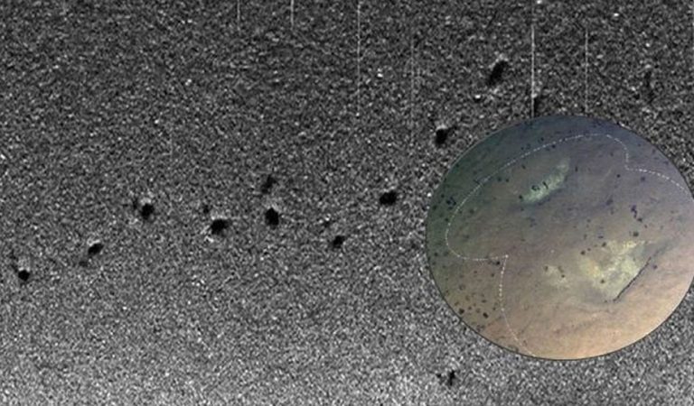 Hallan huellas de una criatura desconocida y gigantesca en el fondo del Océano Pacífico Hallan huellas de una criatura desconocida y gigantesca en el fondo del Océano Pacífico