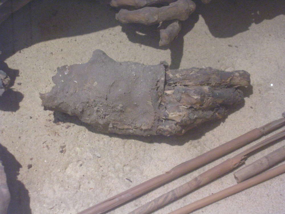 La momia se encuentra en el Museo Egipcio de Turín desde 1901