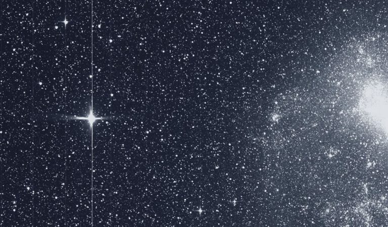 El cazador de planetas TESS tomó su primera imagen, ¡y es impresionante! El cazador de planetas TESS tomó su primera imagen, ¡y es impresionante!