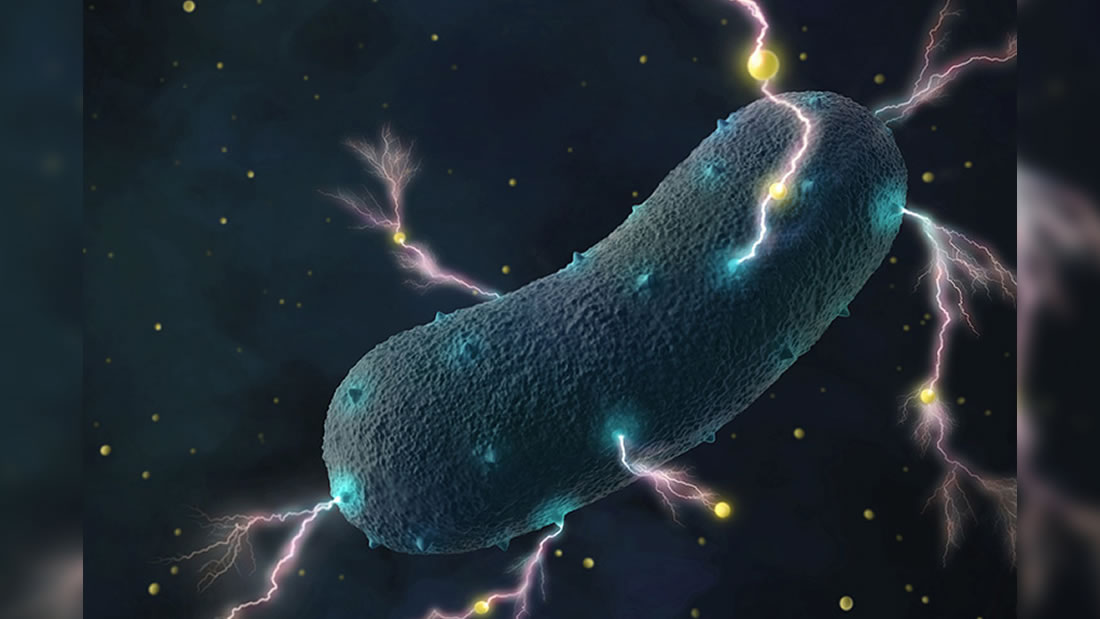 ¿Sabías que las bacterias de tu intestino producen electricidad? Estudio lo confirma