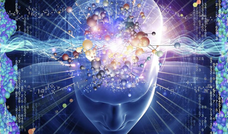 Científicos han creado vida artificial cuántica por primera vez Científicos han creado vida artificial cuántica por primera vez
