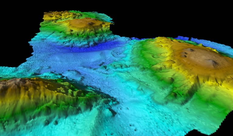 Hallan un «mundo perdido» en la costa de Tasmania Hallan un «mundo perdido» en la costa de Tasmania