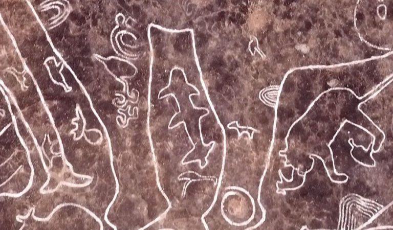 Misteriosos petroglifos en la India representan criaturas desconocidas en la zona Misteriosos petroglifos en la India representan criaturas desconocidas en la zona