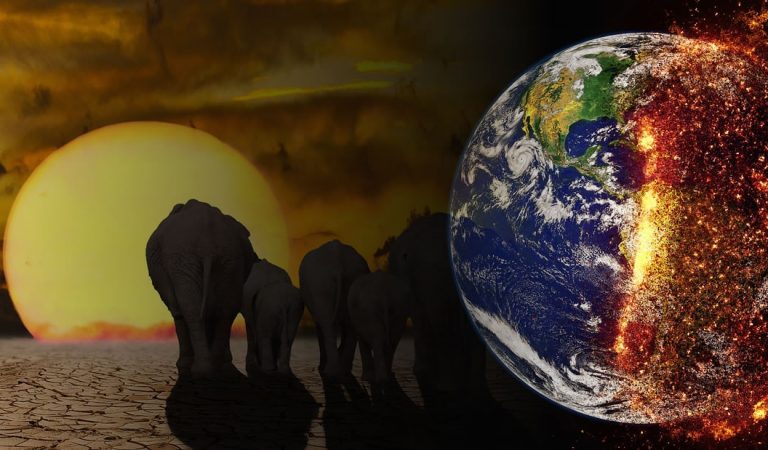 Solo quedan 12 años para prevenir una catástrofe climática global, advierten científicos Solo quedan 12 años para prevenir una catástrofe climática global, advierten científicos