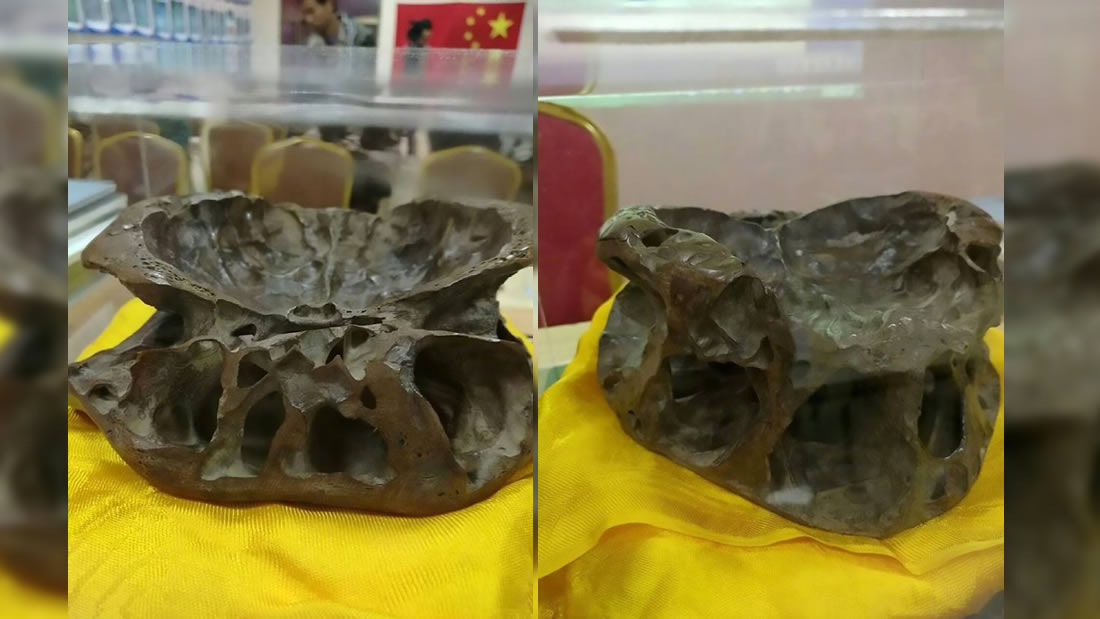 Investigador de OVNIs revela imagen de un supuesto «cráneo alienígena»