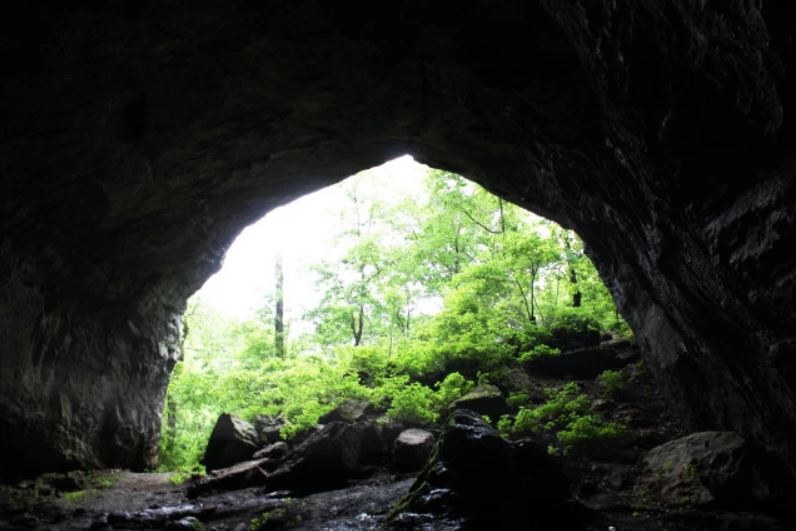 Entrada de la Cueva de Blowing en Cushman, Arkansas. Vista desde adentro