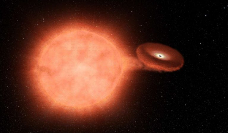 Una supernova está haciendo algo muy raro, y Kepler pudo detectarlo en sus últimos días Una supernova está haciendo algo muy raro, y Kepler pudo detectarlo en sus últimos días