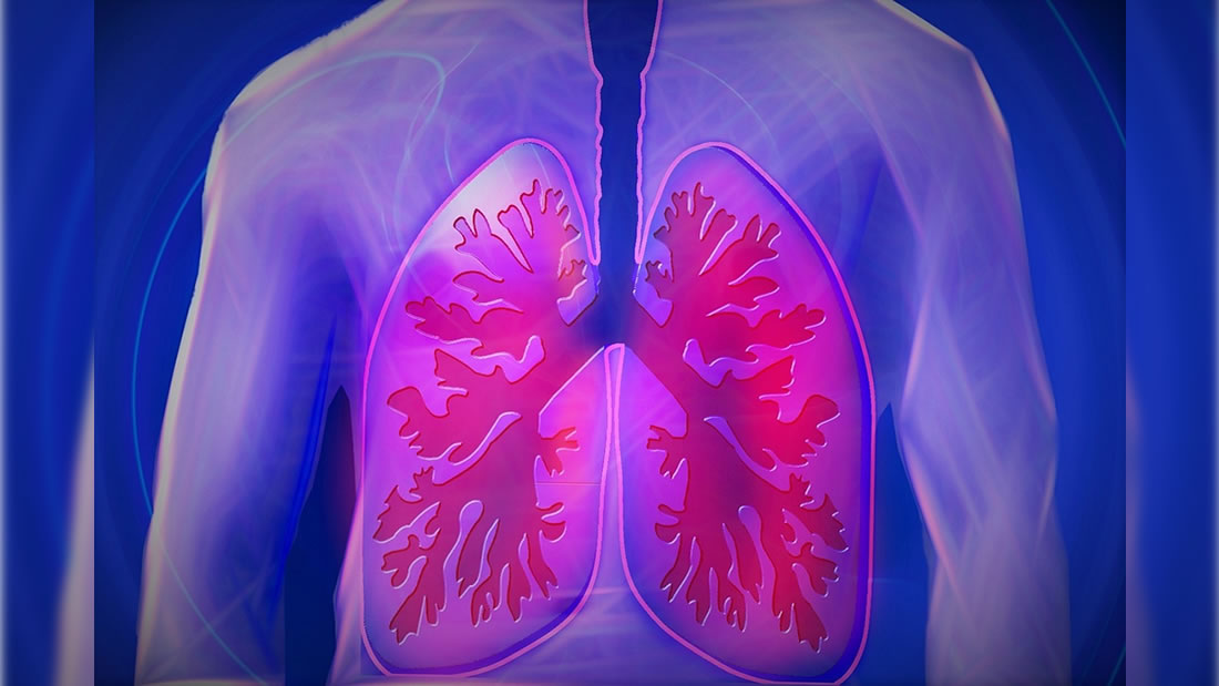 Científicos crean un «pulmón» que convierte agua en combustible