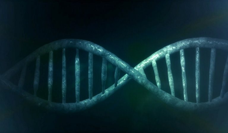 Científicos descifran el código CRISPR para la edición precisa del genoma humano Científicos descifran el código CRISPR para la edición precisa del genoma humano