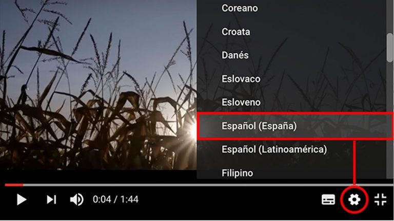 ¿cómo Activar Los Subtítulos En Un Vídeo De Youtube Y Traducirlos A Español Automáticamenteemk 2510