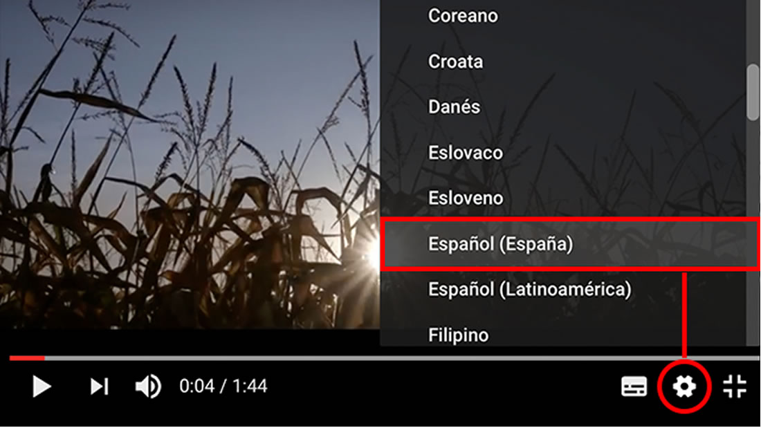 ¿Cómo activar los subtítulos en un vídeo de Youtube y traducirlos a español automáticamente?